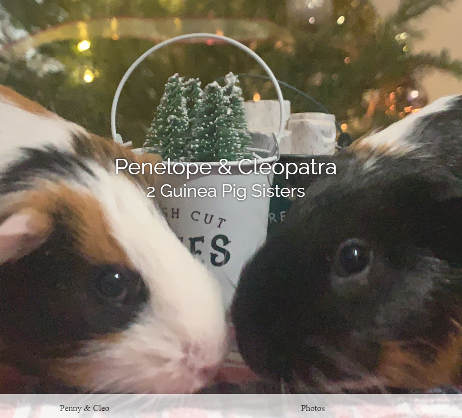 piggies-site-preview